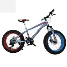 Hot selling best fat bike snow tire/fat tire kids bike/fat tire bikes for kids